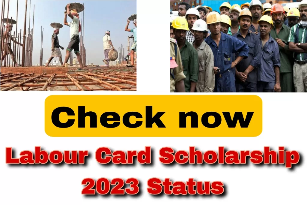 Labour Card Scholarship 2023 Status